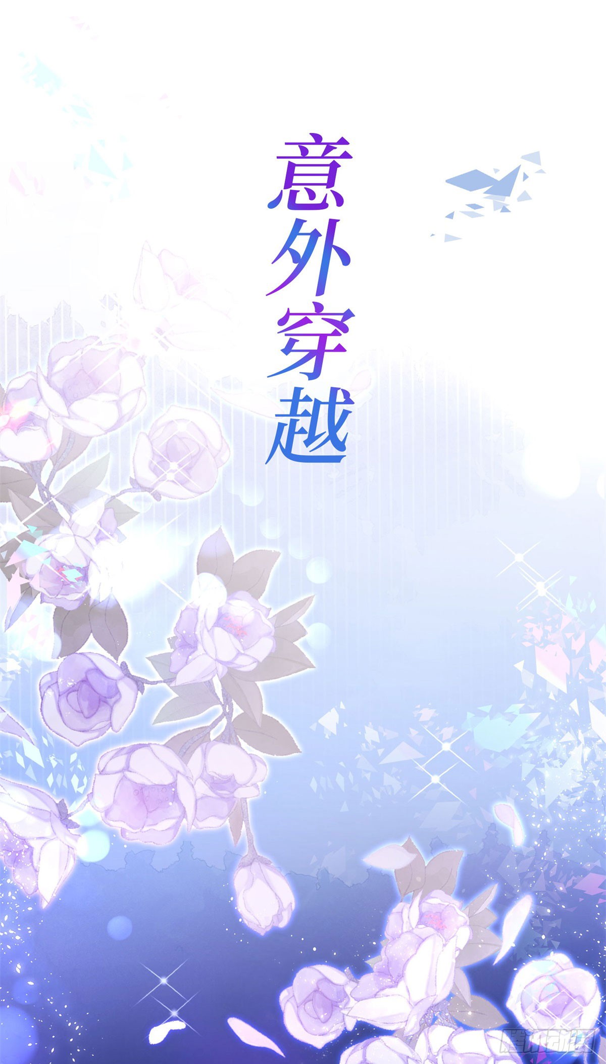 章节图片