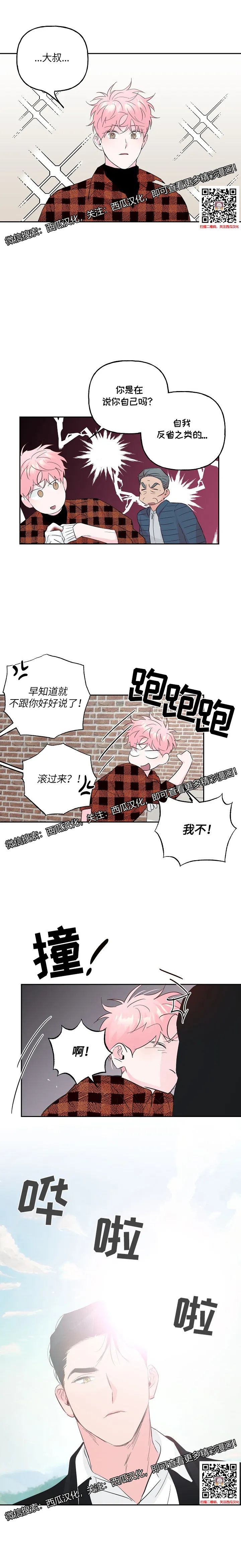 章节图片