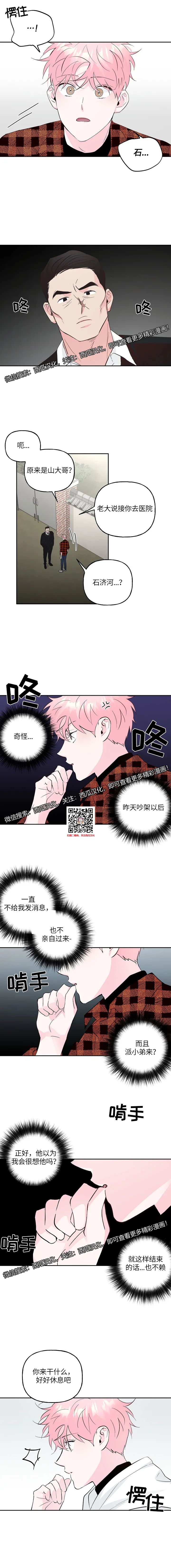 章节图片