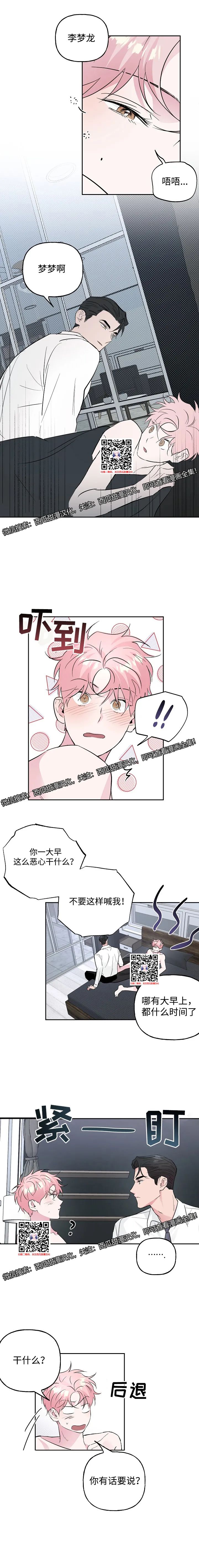 章节图片
