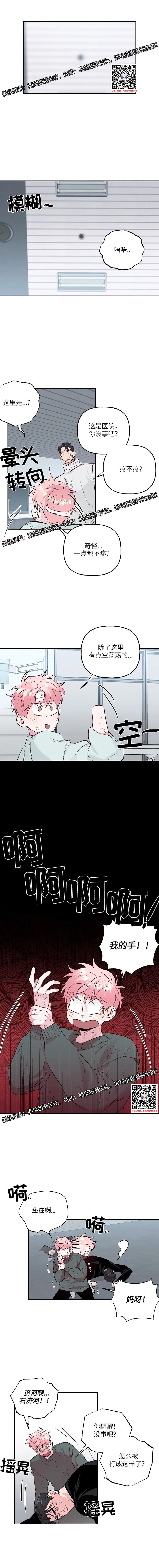 章节图片