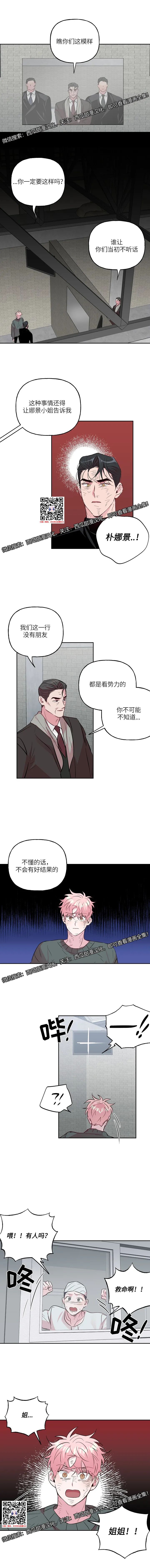 章节图片
