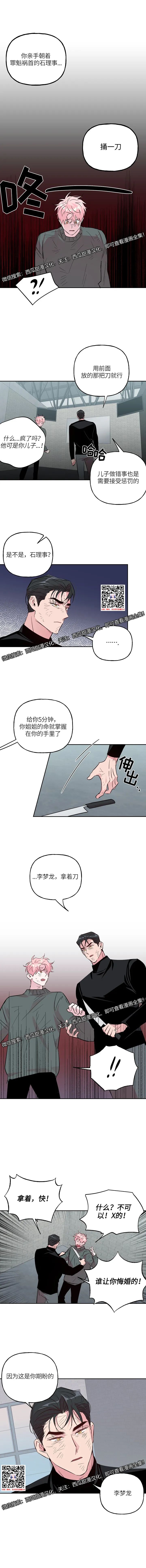 章节图片