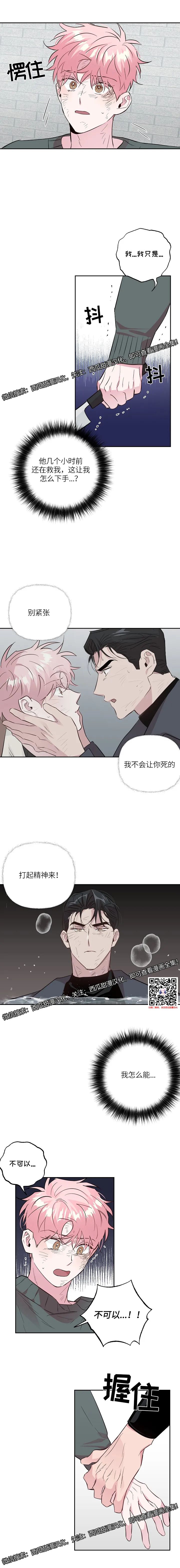 章节图片