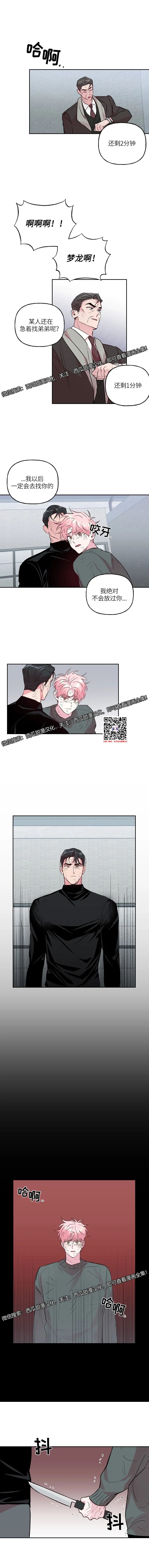 章节图片