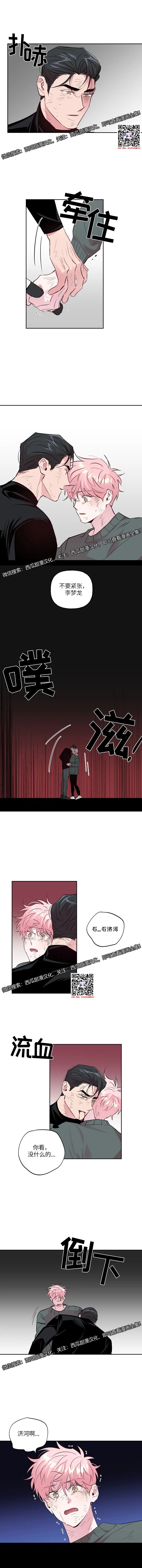 章节图片