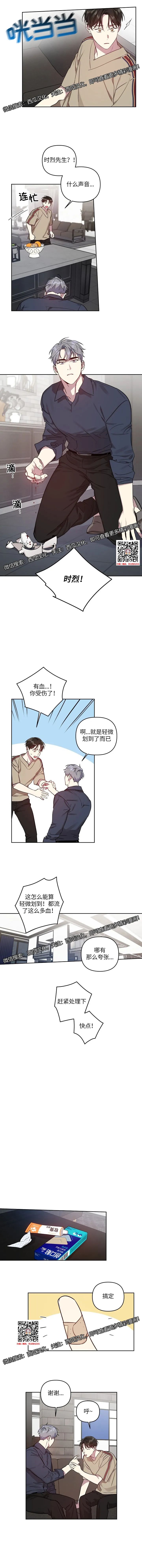 章节图片