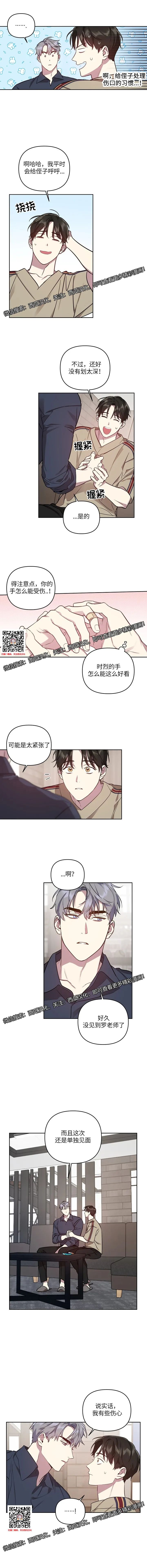 章节图片