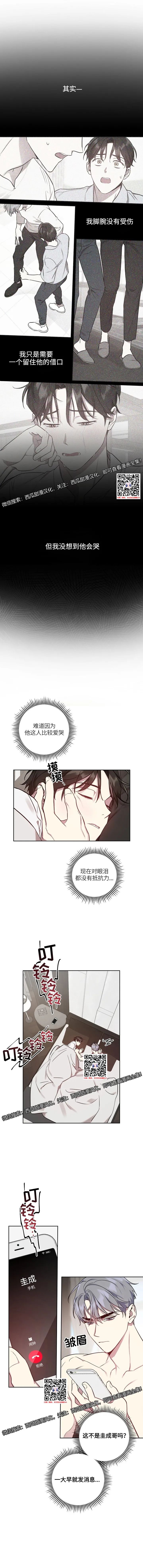 章节图片