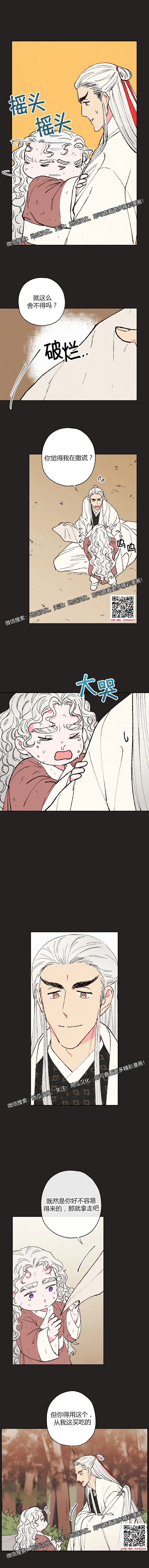 章节图片