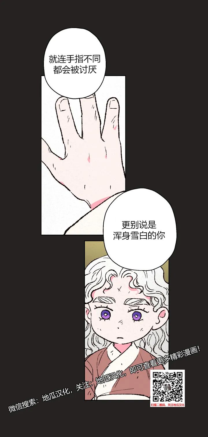 章节图片