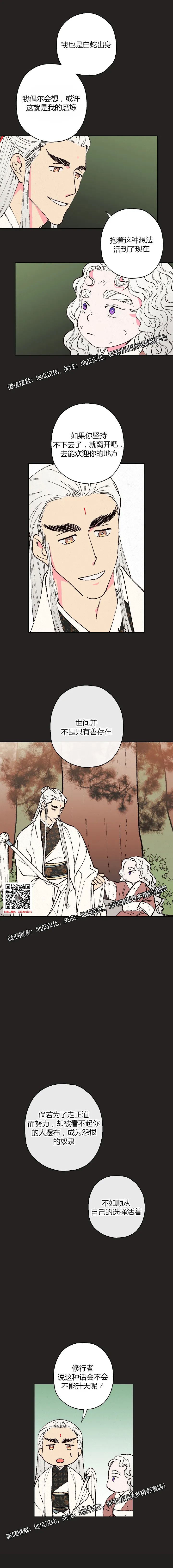 章节图片