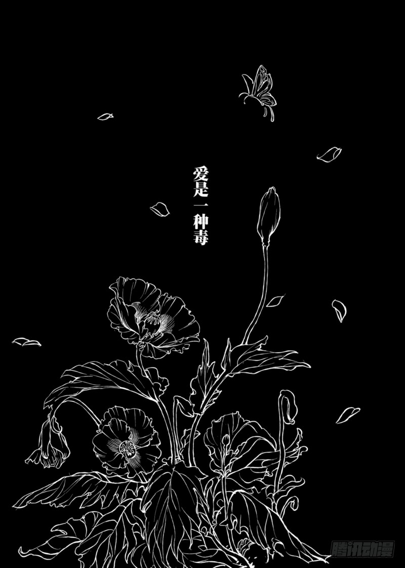 章节图片