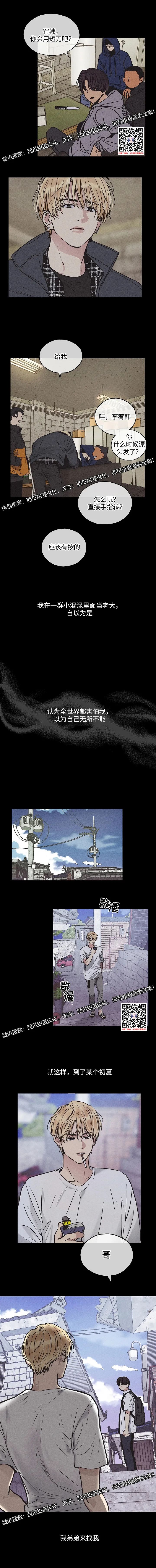 章节图片