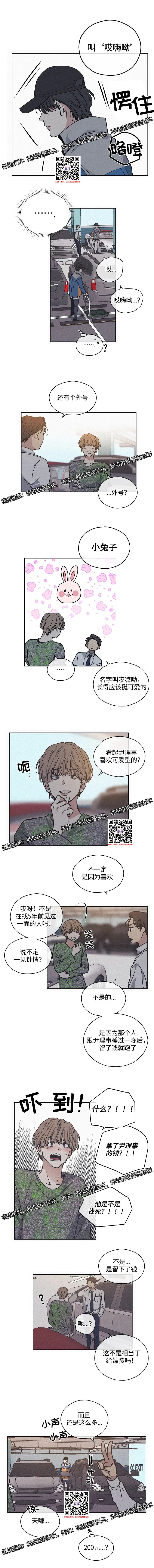 章节图片