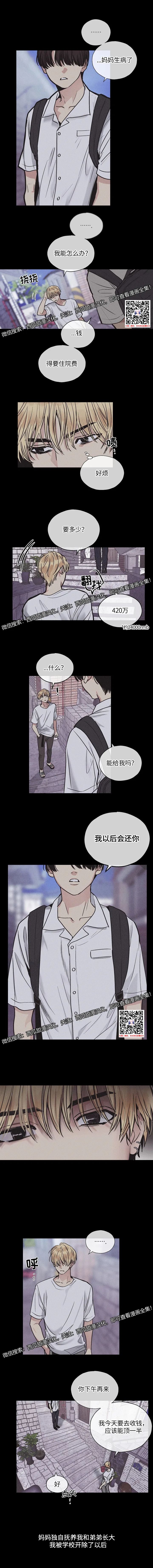 章节图片