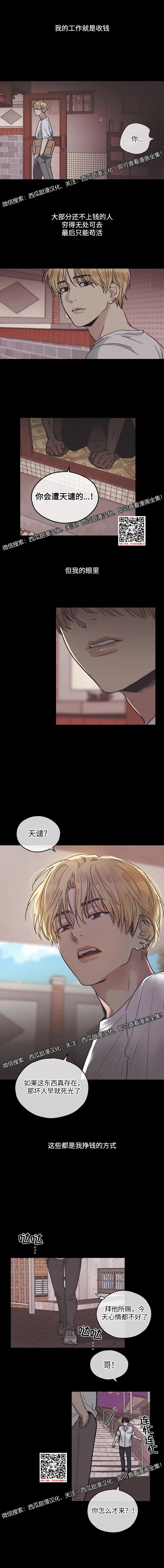 章节图片