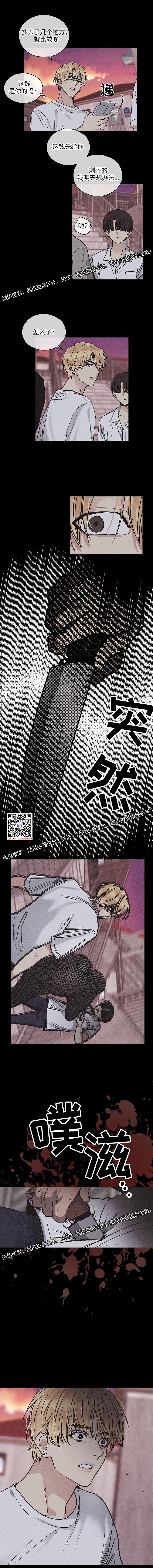 章节图片