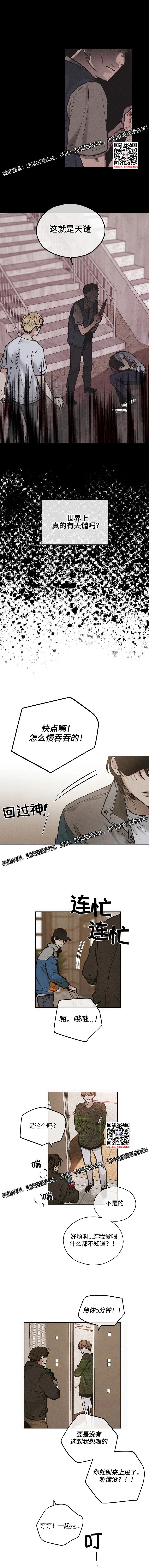 章节图片