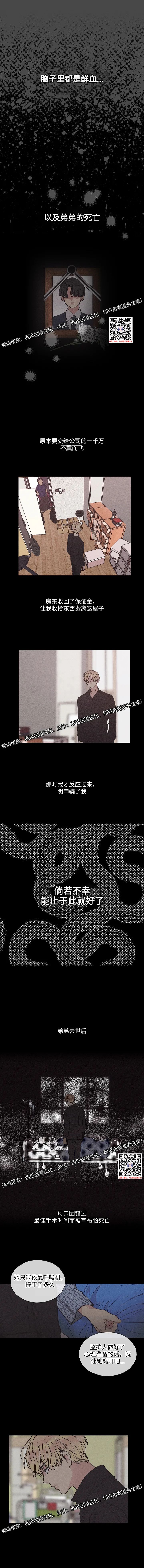 章节图片