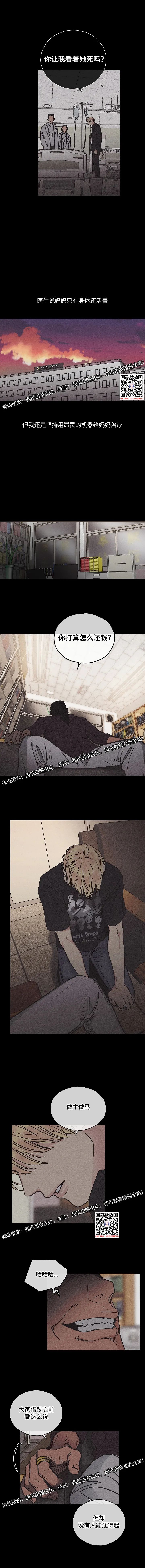 章节图片