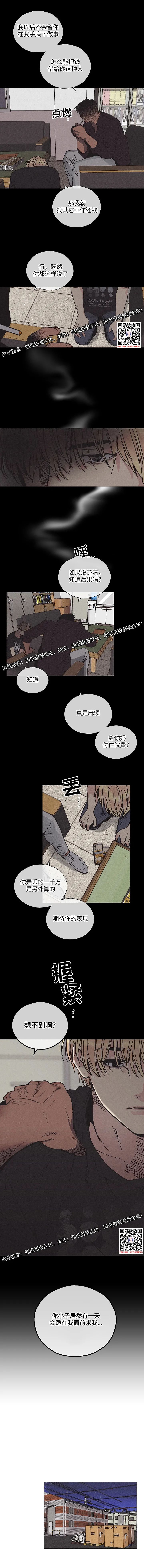 章节图片