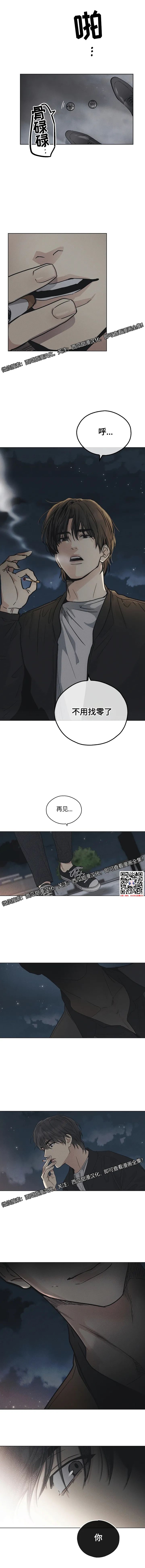 章节图片