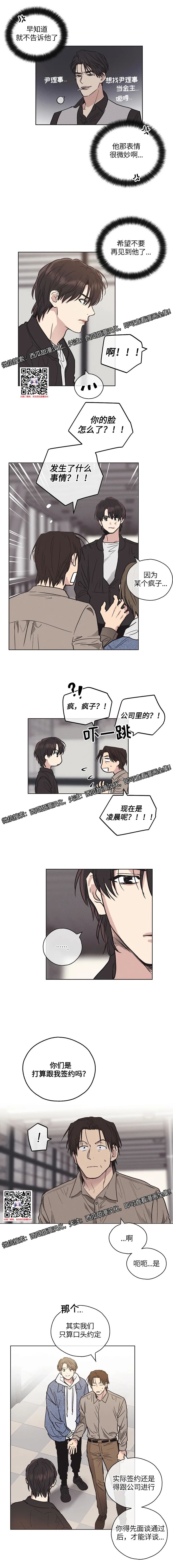 章节图片