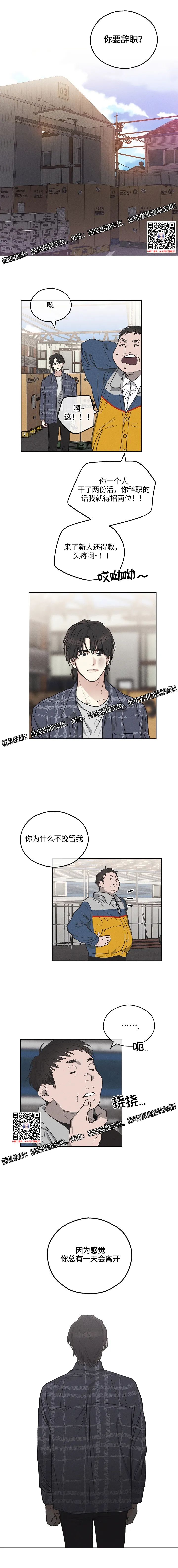 章节图片