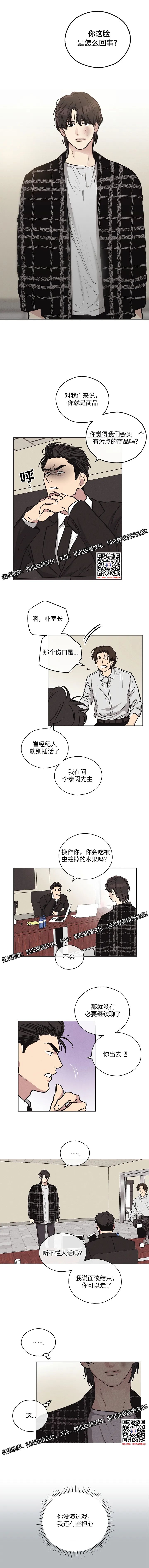 章节图片