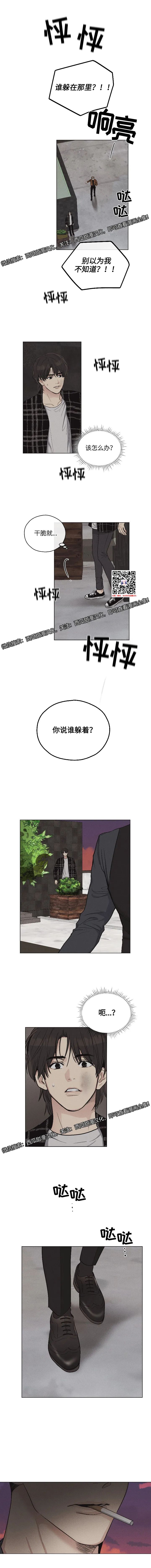 章节图片