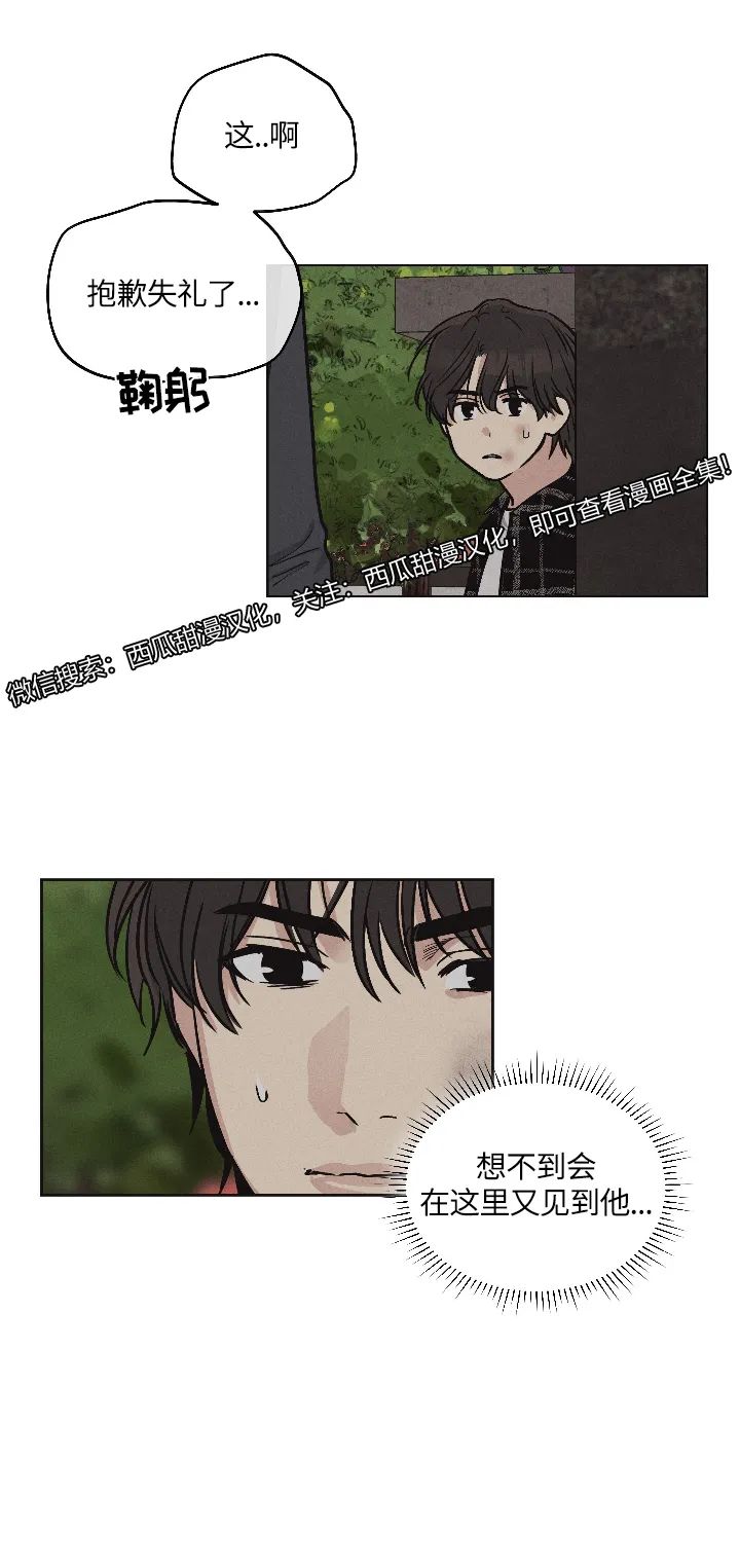 章节图片