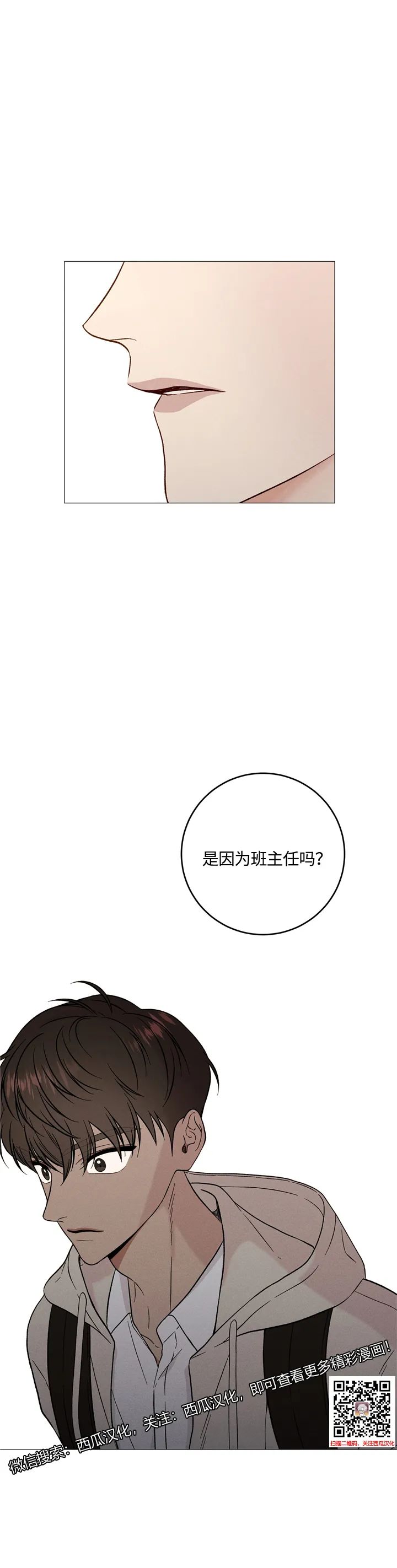章节图片