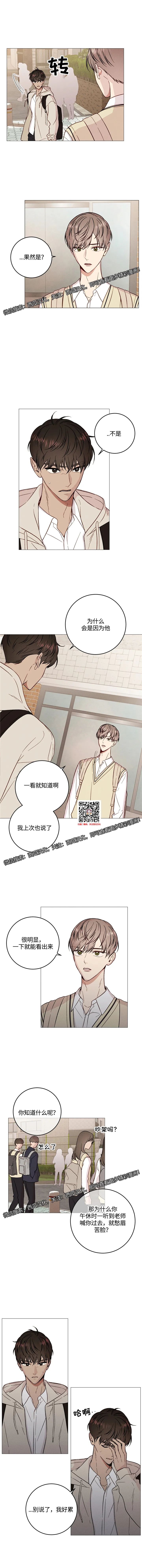章节图片
