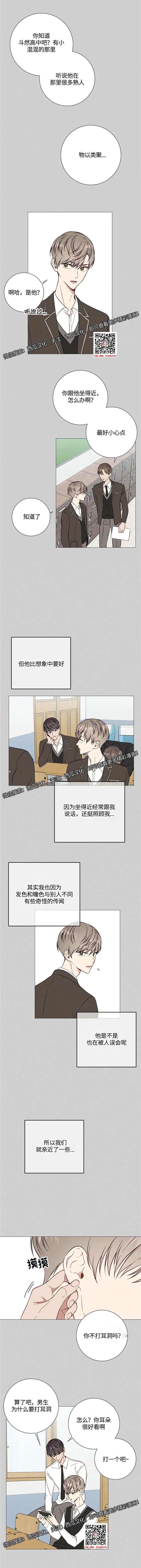 章节图片