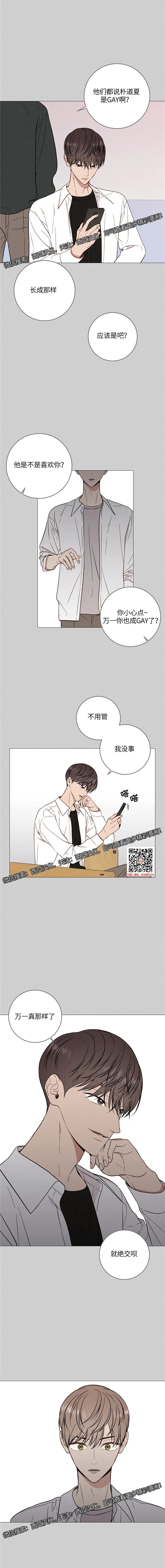 章节图片