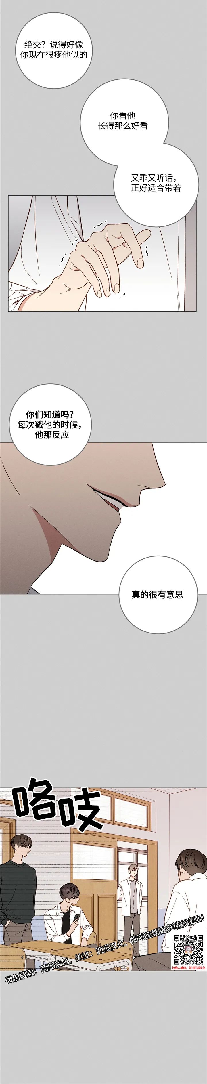 章节图片