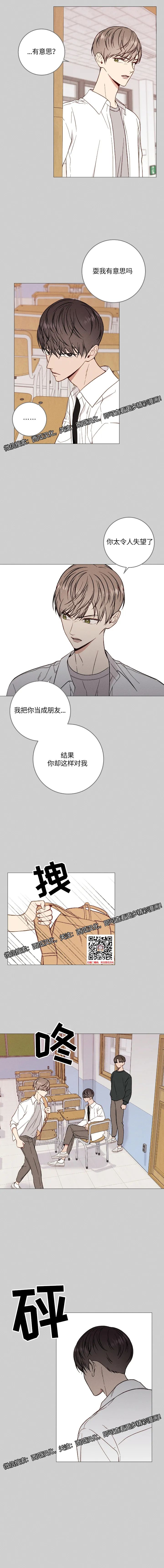 章节图片