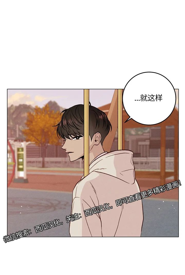章节图片