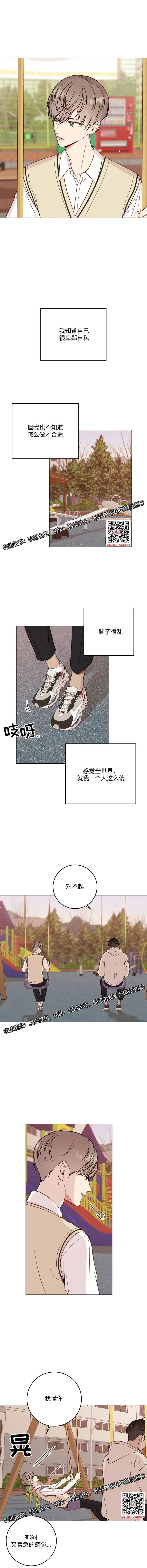 章节图片