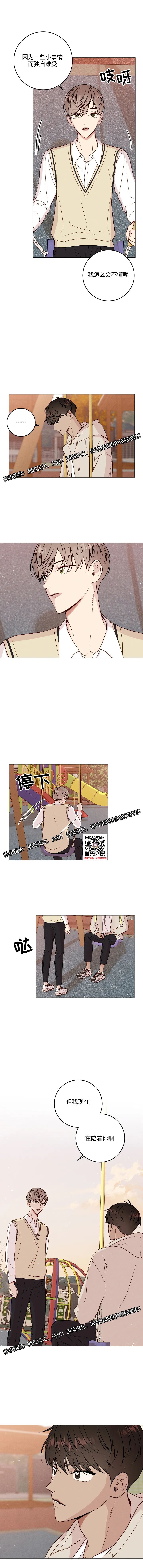 章节图片