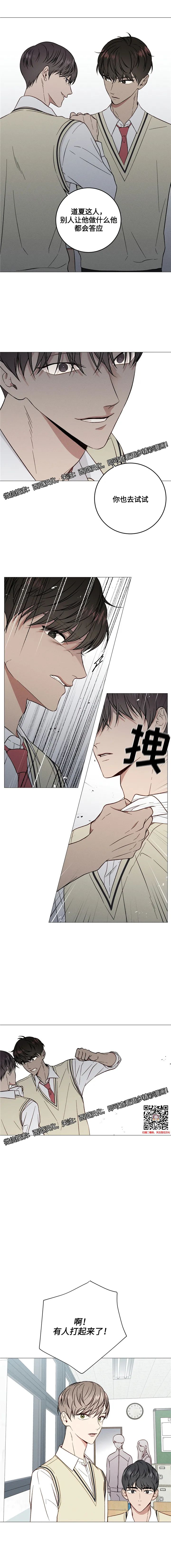 章节图片