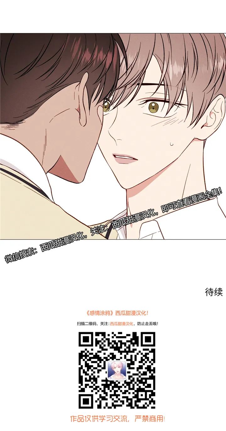 章节图片