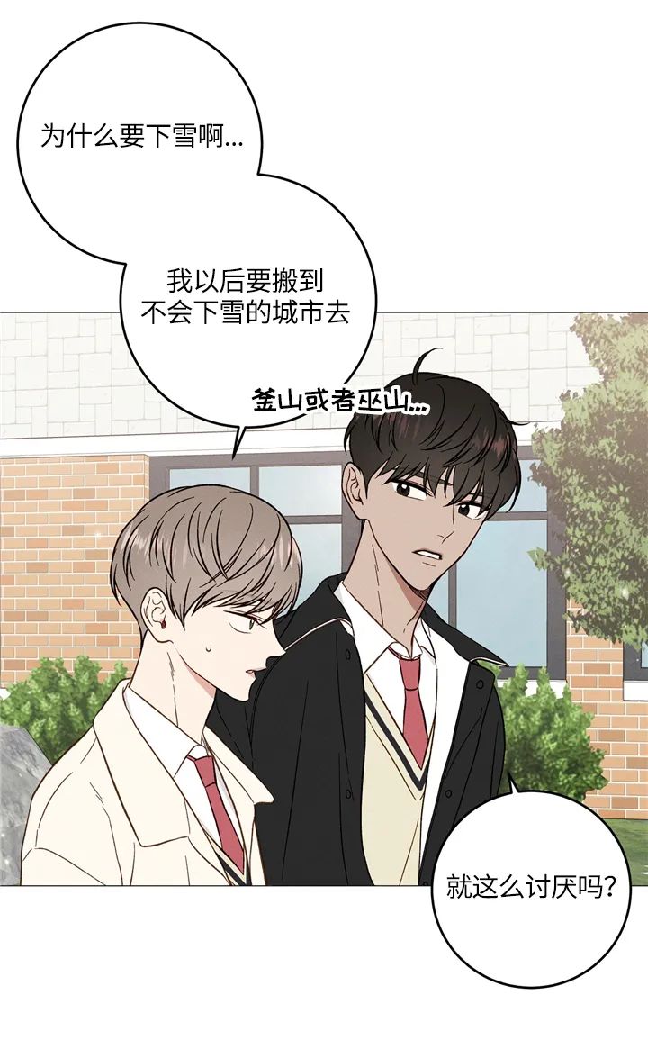 章节图片