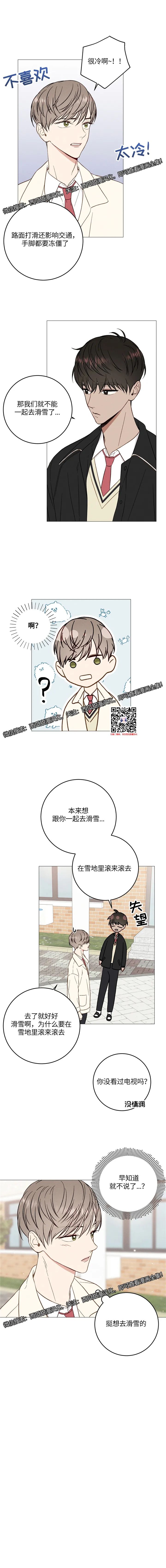 章节图片
