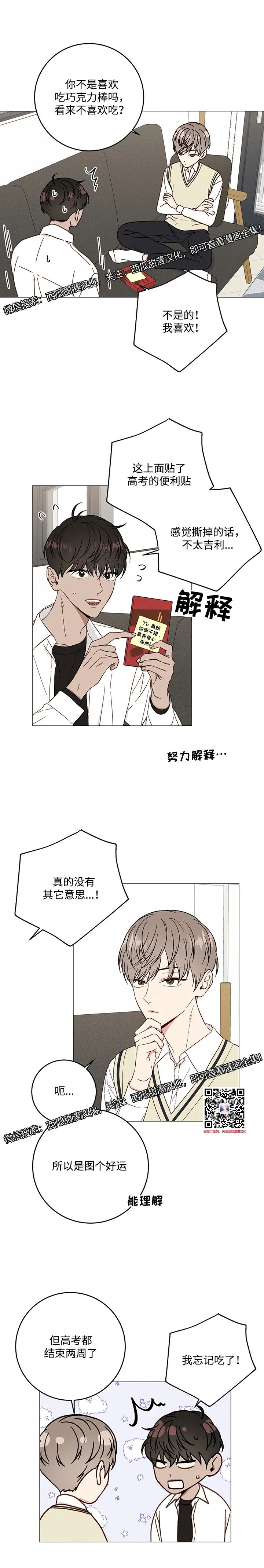 章节图片