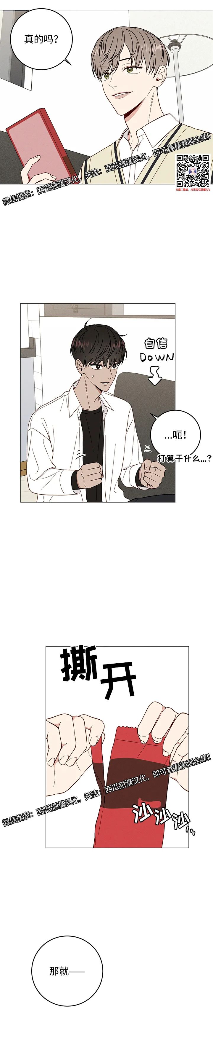 章节图片