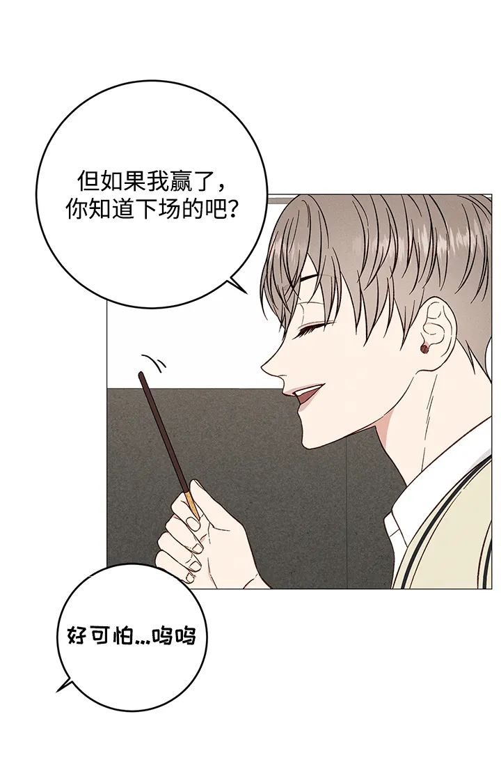 章节图片