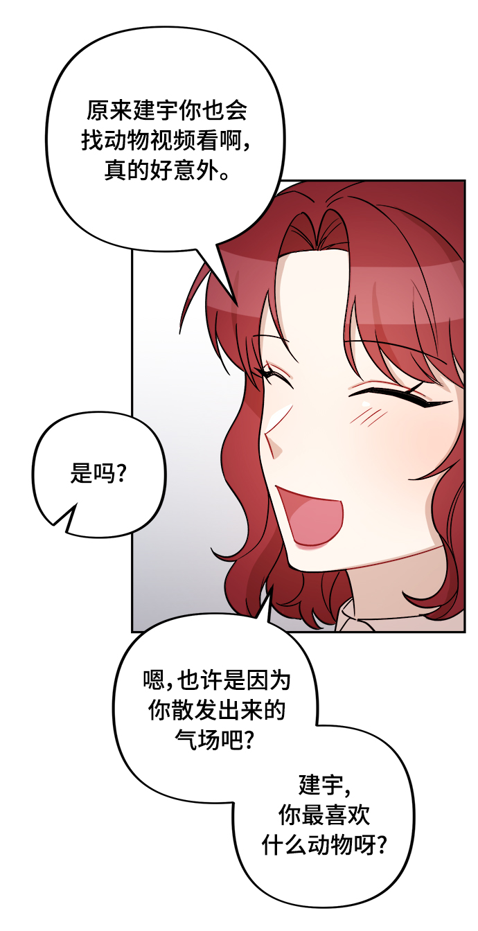 章节图片