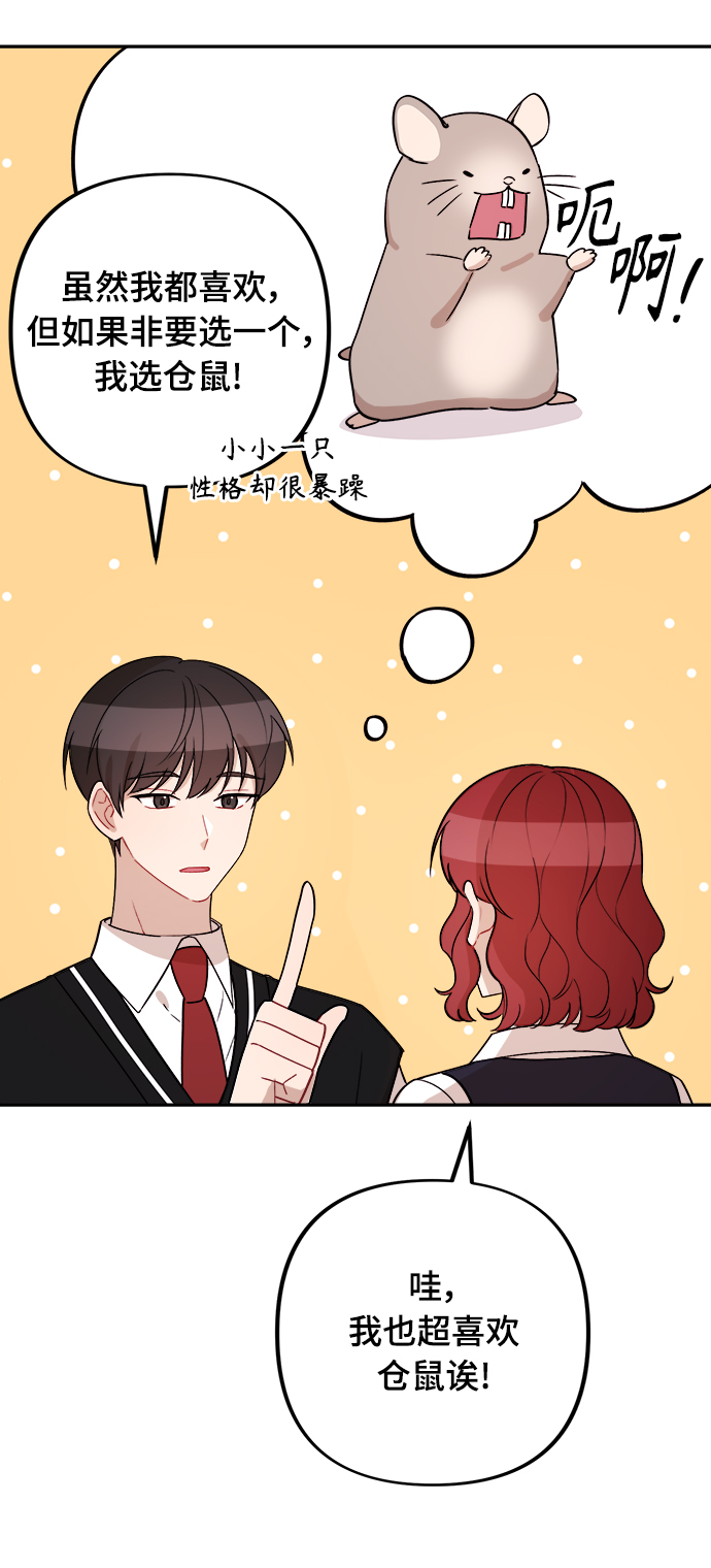 章节图片